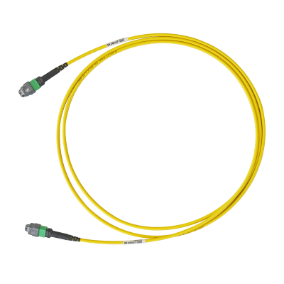 Neutrik MTP patch cable